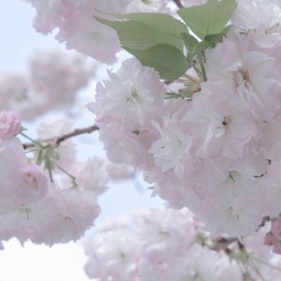 黄南FurryQQ群介绍